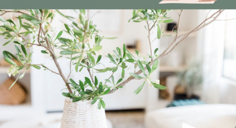 Decluttering d’autunno: riordina casa e la mente